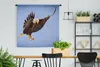 MuchoWow® Wandteppich Wandbehang Adler - Luft - Tier Produktbild-Vorschau 2