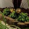 6x Lampa Solarna Ogrodowa LED 3000K IP44 10cm Wbijana Podgląd zdjęcia produktu 3
