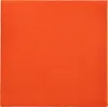 Asciugamano PAPSTAR Collezione DAILY 89639 32x32cm Anteprima dell’immagine prodotto 1