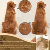 2-in-1 Selbstentwirrender Pflegekamm für Hunde&Katzen – Produktbild-Vorschau 7