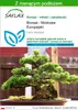 SAFLAX - Bonsai - Modrzew Europejski - 75 Nasiona - Z Podgląd zdjęcia produktu 1