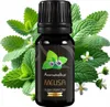 Natürliches Zitronenmelissenöl - Ätherisches Öl zur Produktbild-Vorschau 1