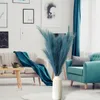 LAYBA Künstliches Pampasgras 3er-Set Blau 100 cm, 18 Produktbild-Vorschau 6