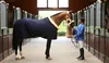 Kentucky Horsewear Turnierdecke 160g Show Rug Marine 155 Produktbild-Vorschau 11