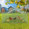 A chicken coop with chickens and chicks in a grassy yard with houses and trees in the background. Náhled obrázku produktu