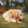 Ruffwear Gnawt-a-Stick Spielzeug Stock 4 x 30 cm, Produktbild-Vorschau 6