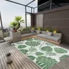 vidaXL Vonkajší koberec ARAKIL Green 190x290 cm PP Náhľad obrázku produktu 2