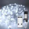 Peviasot 30m LED Lichtschlauch  Innen,LED Produktbild-Vorschau 1