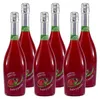 Fruta y Pasión Himbeer-Maracuja Cocktail (6 x 0,75L) Produktbild-Vorschau 1