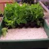 Hubey Perlite für Pflanzen 4 L Sauerstoffspeicher Substrat Produktbild-Vorschau 4