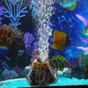 Aquarium Vulkan Form & Luftblase Stein Sauerstoff Pumpe Produktbild-Vorschau 2