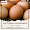 Supravit Hühnergrit Geflügelgrit 4 kg | Muschelkalk Produktbild-Vorschau 4