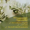 Wellpursan Sangioton Extra - 360 hochwertige L-Arginin Produktbild-Vorschau 5