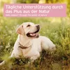 AniForte Nieren Vetal für Hunde 100 g - Natürliche Kräuter Produktbild-Vorschau 5