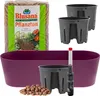 Leni Flori Jardiniere Blumentopf länglich 36 cm Produktbild-Vorschau 1