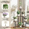 A multi-panel image showcasing a corner plant stand with various plants and decorative items, along with text descriptions of plant types and uses. Náhľad obrázku produktu