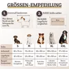 A size chart for dog beds, showing different sizes with corresponding dog breeds and dimensions. Produktbild-Vorschau