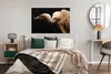 MuchoWow® Poster Geier - Vogel - Tiere 120x80 cm - Bilder Produktbild-Vorschau 4