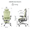 FLEXISPOT ErgoX – ergonomická kancelářská židle s Náhled obrázku produktu 4
