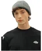 dickies felpa uomo dickies summerdale sweatshirt - dk0a4y6q Anteprima dell’immagine prodotto 8