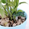 A close-up of a plant support clip attached to a plant stem in a pot. Voir les images du produit