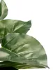 Plante artificielle PHILODENDRON, 40 cm Voir les images du produit 2