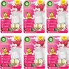 Air Wick Duftstecker Starter-Set Kirschblüte & Himbeere 6er Produktbild-Vorschau 1