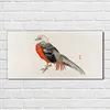 Coloray Bild aus Acryl 100 cm x 50 cm - Gehärtetes Acryl Produktbild-Vorschau 2