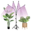 Gardlov 19388 LED-Pflanzenzuchtlampe mit Stativ, 80 LEDs, 4 Produktbild-Vorschau 3