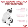 A mother cat and kitten are shown with text boxes detailing specific needs. Anteprima dell’immagine prodotto