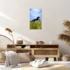 Bild auf Leinwand - Leinwandbild - Schwarzes Pferd Pferd Produktbild-Vorschau 7