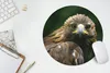 MuchoWow® Mauspad Mousepad Adler - Braun - Raubvogel 30x30 Produktbild-Vorschau 5