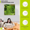 ARTland Leinwandbild Ginkgo Größe: 100x100 cm Produktbild-Vorschau 3