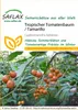 SAFLAX - Tamarillo - 50 Nasiona - Cyphomandra betacea Podgląd zdjęcia produktu 11