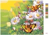 Zuty - Malen nach Zahlen - SCHMETTERLINGE AUF MARGERITEN, Produktbild-Vorschau 3