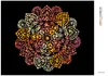 Diamondi - Diamond painting - MANDALA IX, 40X50 cm, ohne Produktbild-Vorschau 3