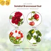 Solabiol® Bennnessel Sud für schädlingsanfällige Pflanzen 1 Produktbild-Vorschau 6