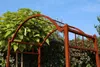 GardenAndPools Łuk różany Classic Garden B 1,40 m pergola Podgląd zdjęcia produktu 6