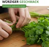 Koriander Comun Samen - Coriandrum sativum - Koriandersamen Produktbild-Vorschau 5