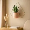 FRAMADO, Pflanzregal Wand, Blumenhalter Metall Hängend Produktbild-Vorschau 7