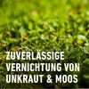 Compo Rasendünger gegen Unkraut + Moos 6 kg Nachfolger Produktbild-Vorschau 10