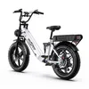 Elektrofahrrad, 250W E-Bike mit 2*18Ah herausnehmbarem Produktbild-Vorschau 1