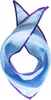 A light blue scarf with a purple trim, folded and presented against a white background. Produktbild-Vorschau