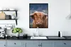 MuchoWow® Gerahmtes Poster Schottischer Highlander - Hörner Produktbild-Vorschau 3
