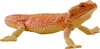 Mojo Fun Bearded Dragon, 3 Jahr(e), Wildlife, Braun, Rot, Produktbild-Vorschau 1