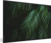 MuchoWow® Gerahmtes Poster Palmenblätter - Palmen - Produktbild-Vorschau 1