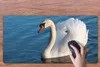 MuchoWow® Schreibtischunterlage Schwan - Wasser - Vogel - Produktbild-Vorschau 3