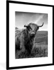 MuchoWow® Gerahmtes Poster Schottischer Highlander - Berg - Produktbild-Vorschau 1