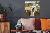 MuchoWow® Poster Lama - Selfie - Gras 50x50 cm - Produktbild-Vorschau 2