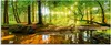 ARTland Glasbild Wald mit Bach Größe: 125x50 cm Produktbild-Vorschau 1
